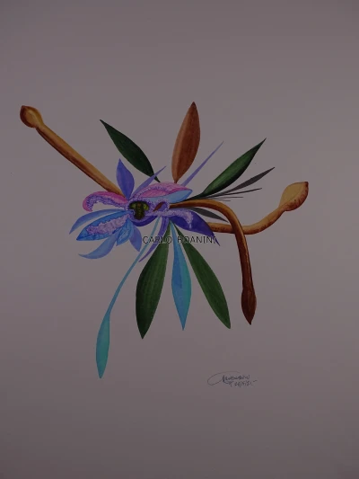 CARLO BOANINI · 28-05-2021